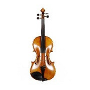 Violinen